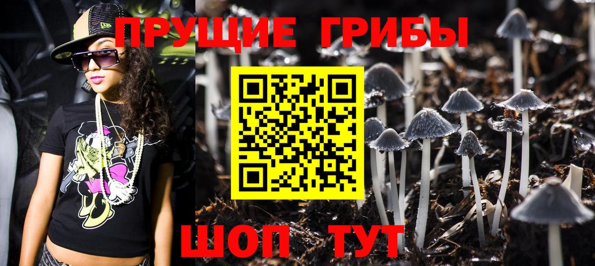 Конаково  Галлюциногенные грибы Cubensis  Вход с VPN  Псилоцибиновые грибы Cubensis 