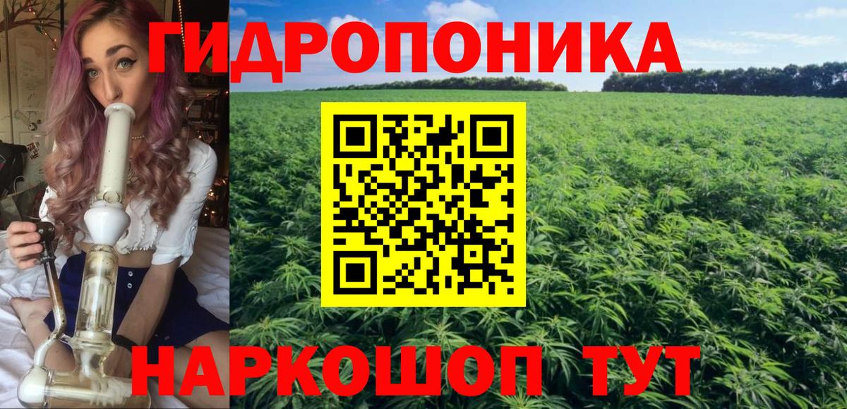 Марихуана Amnesia Конаково